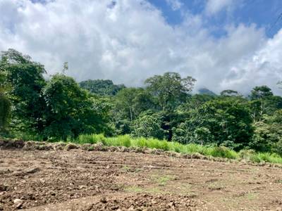 Serene 1.32-Acre Lot with Expansive Mountain Views in Caracara Ridge, Ojochal image 5