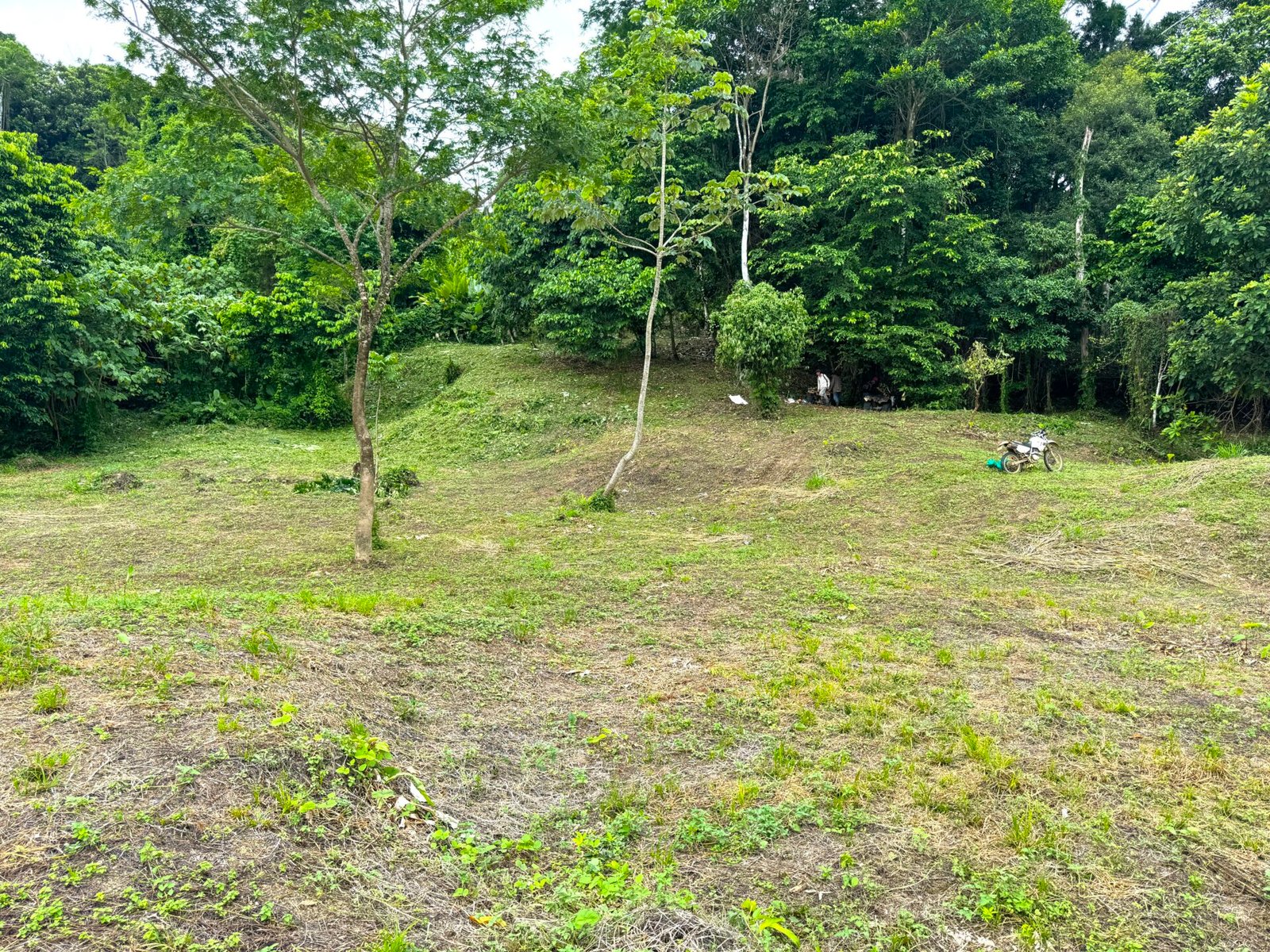 Ocean View Gem with Exceptional Usability near Dominical selected