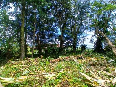 1.14-Acre Ocean View Estate Lot | Phase 5, Ojochal image 5