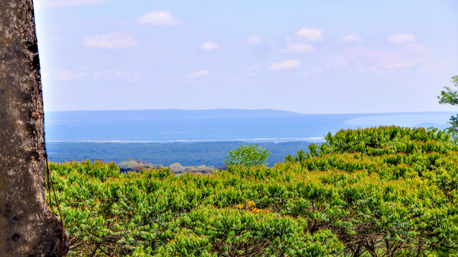 3 Bedroom Home With Ocean View Near Ojochal Tres Rios selected