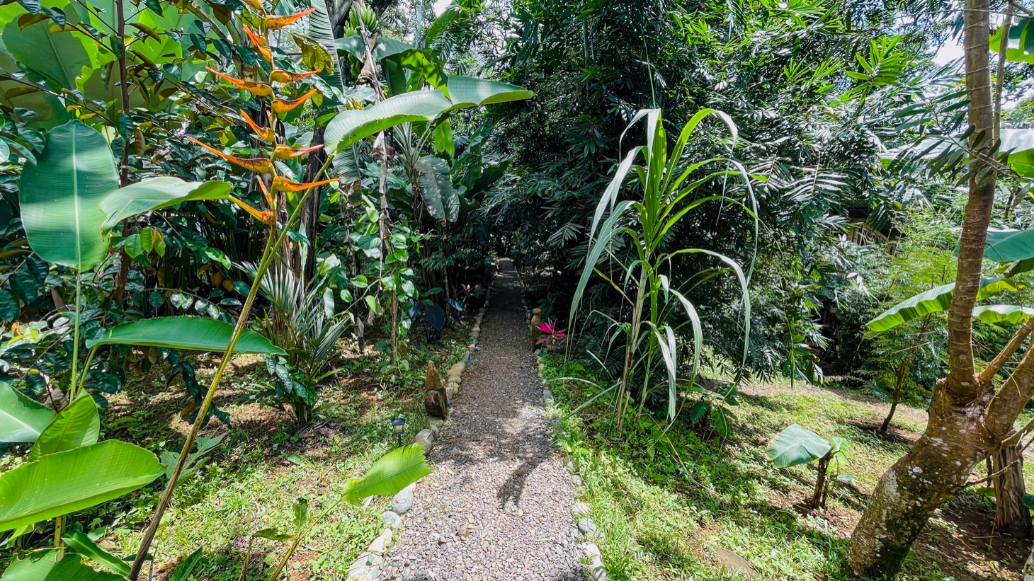 Tropical Retreat in Ojochal with Ocean Views, Private Waterfall & Expansion Potential selected