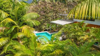 Uvita Jungle Home for Sale | Private Creek Lot Near Marino Ballena image 3