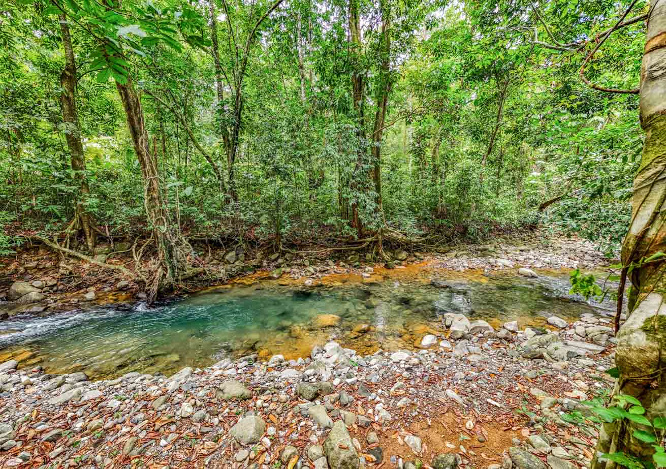 Wonderful Jungle Lot with a Crystal Mountain River Border in Ojochal selected
