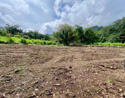 Serene 1.32-Acre Lot with Expansive Mountain Views in Caracara Ridge, Ojochal image 2