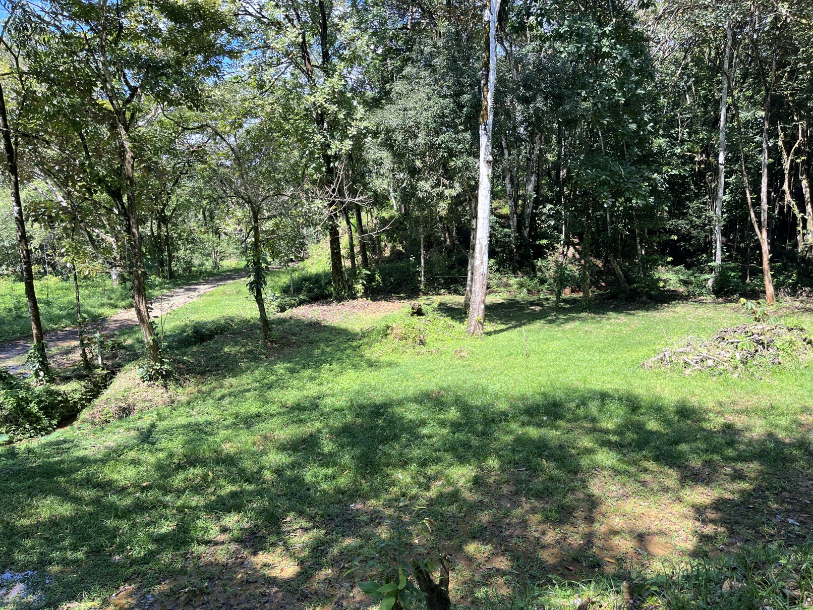 Flat Lot in Tortuga: Your Dream Project Awaits selected