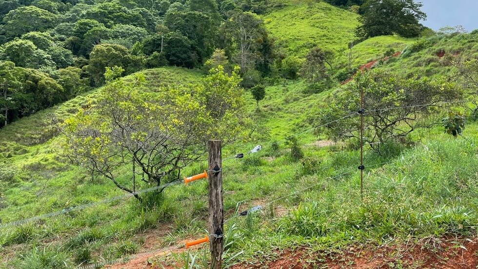 145 Acres With Swimming Holes, Waterfalls And Ocean Views selected