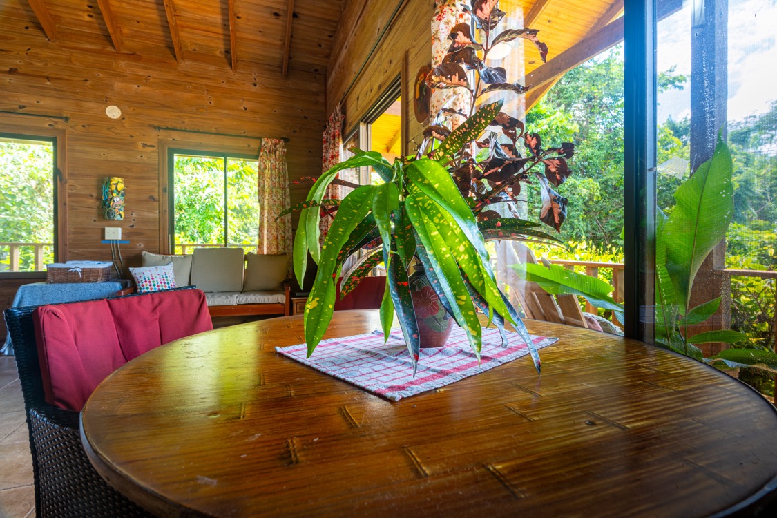 Ocean-View Estate with Guest Casita and Full Privacy in Perla de Ballena selected