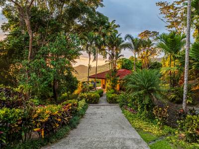 10.9-Acre Luxury Estate with Ocean Views, 3 Homes & Expansion Potential in Tres Ríos image 4