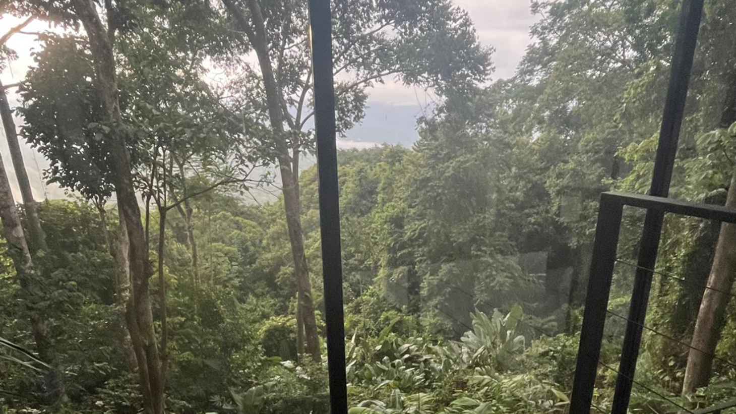 Rainforest Retreat with a Forested Setting and Good Rental History in Lagunas selected