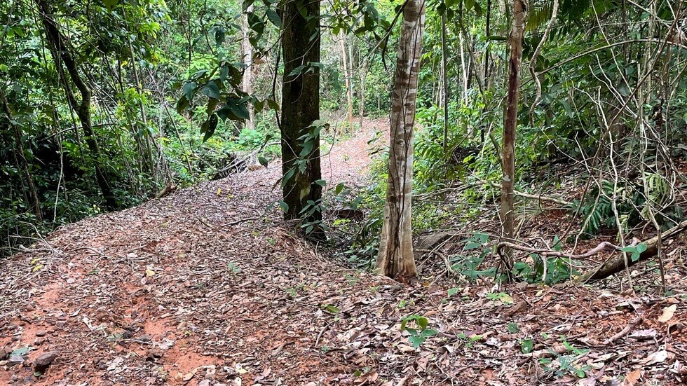 145 Acres With Swimming Holes, Waterfalls And Ocean Views selected