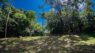 Tropical Sanctuary Above Uvita: 5-Acre Jungle Estate with incredible Mountain Views image 1