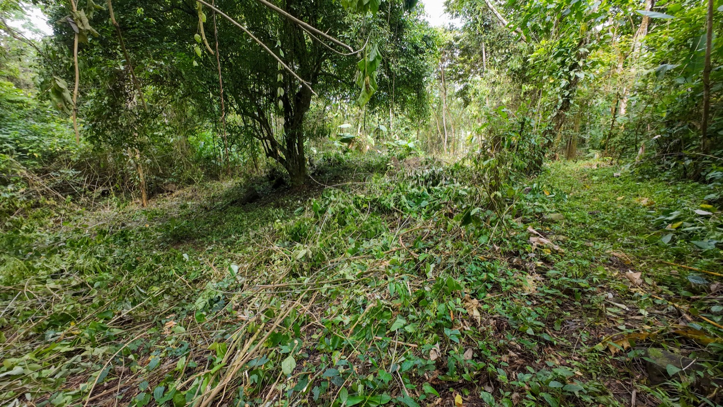 Riverfront Property for Sale in Ojochal, Costa Rica – Nearly 1 Hectare of Flat, Buildable Land selected