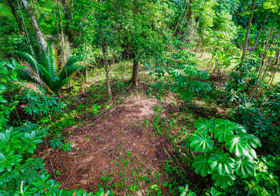 Exceptional Residential or Commercial Potential Property in Ojochal image 1