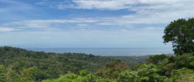 Expansive Oceanview Estate Lot in Uvita image 2