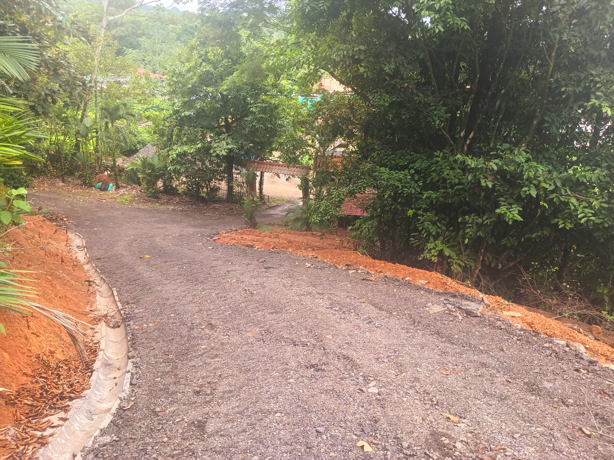 Multi-Home Income Estate Near Marino Ballena National Park selected