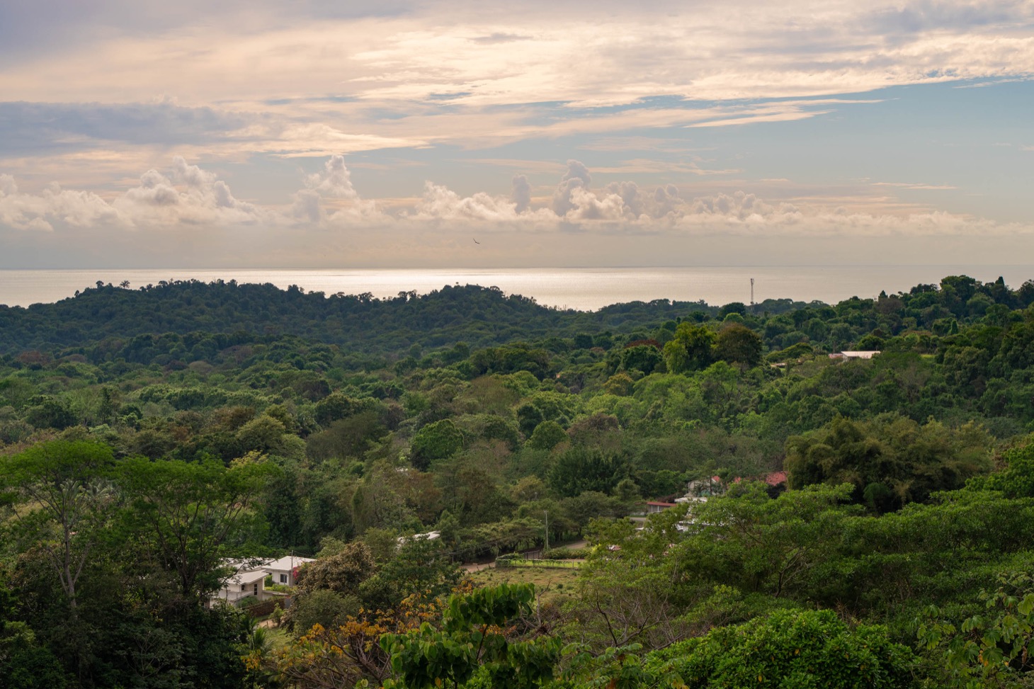 Ocean View Home with Infinity Pool, Solar System & Jungle Views in Ojochal selected