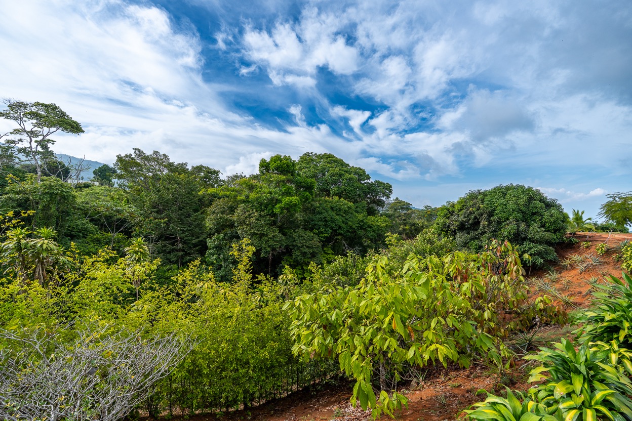 Ocean View Development Property with Waterfall Vista — 14.83 Acres in San Luis de Morete, Near Uvita selected