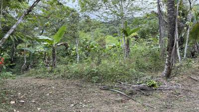 Jungle Lot with 3+ Building Sites, Legal Water, Electricity on Public Road with Big Valley & Mountain Views near San Josecito Costa Rica image 3