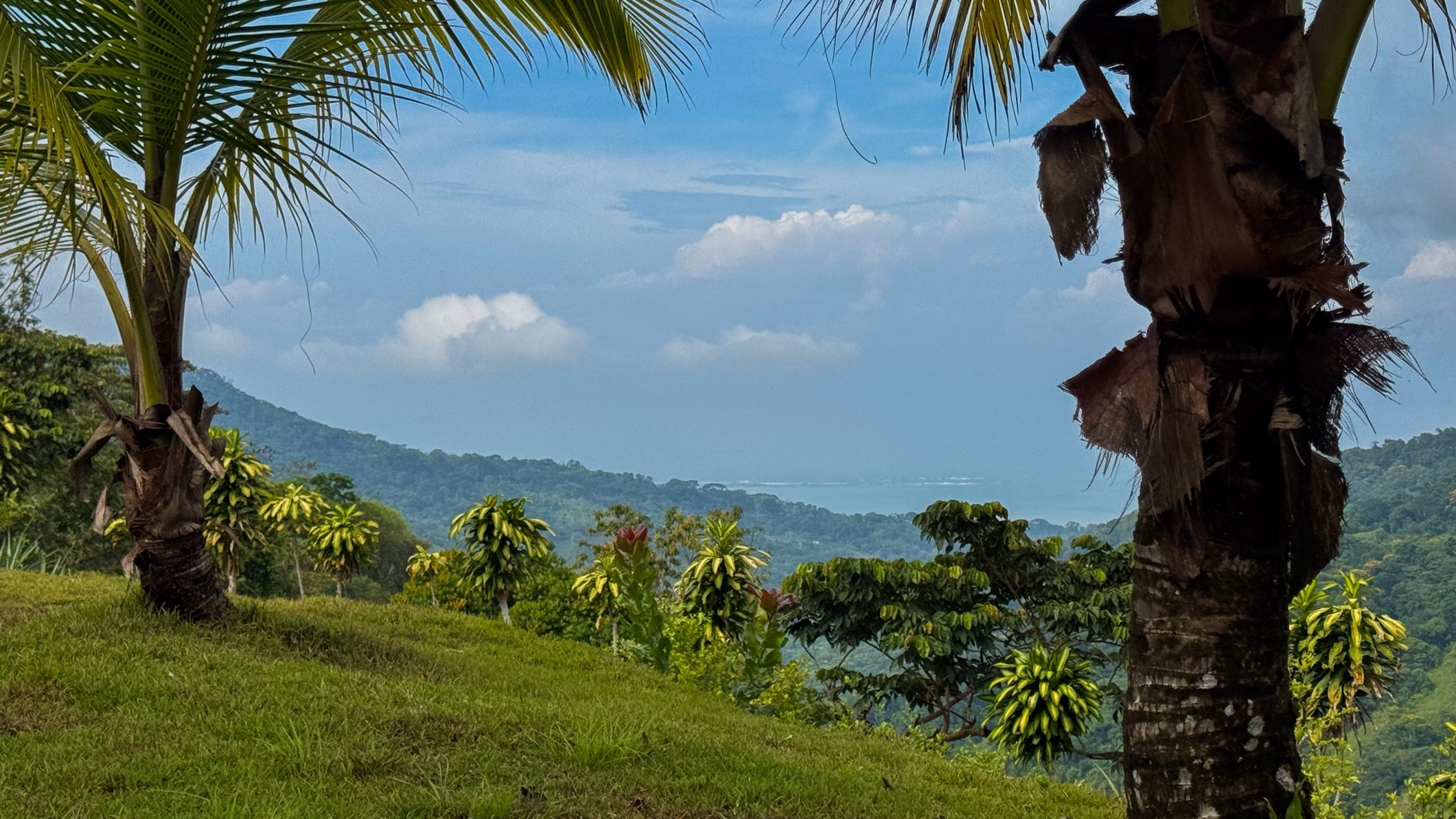 Ocean View Development Property with Waterfall Vista — 14.83 Acres in San Luis de Morete, Near Uvita selected