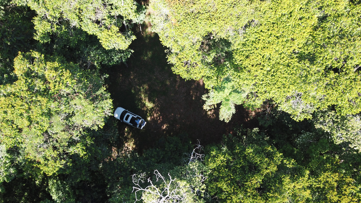 Build Ready Home Site with Easy Access in a Lush Rainforest Setting selected