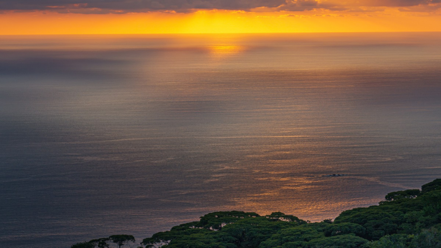 2 ACRES – 2 Bedroom Whales Tale Ocean View Home In Costa Verde Estates Gated Community selected