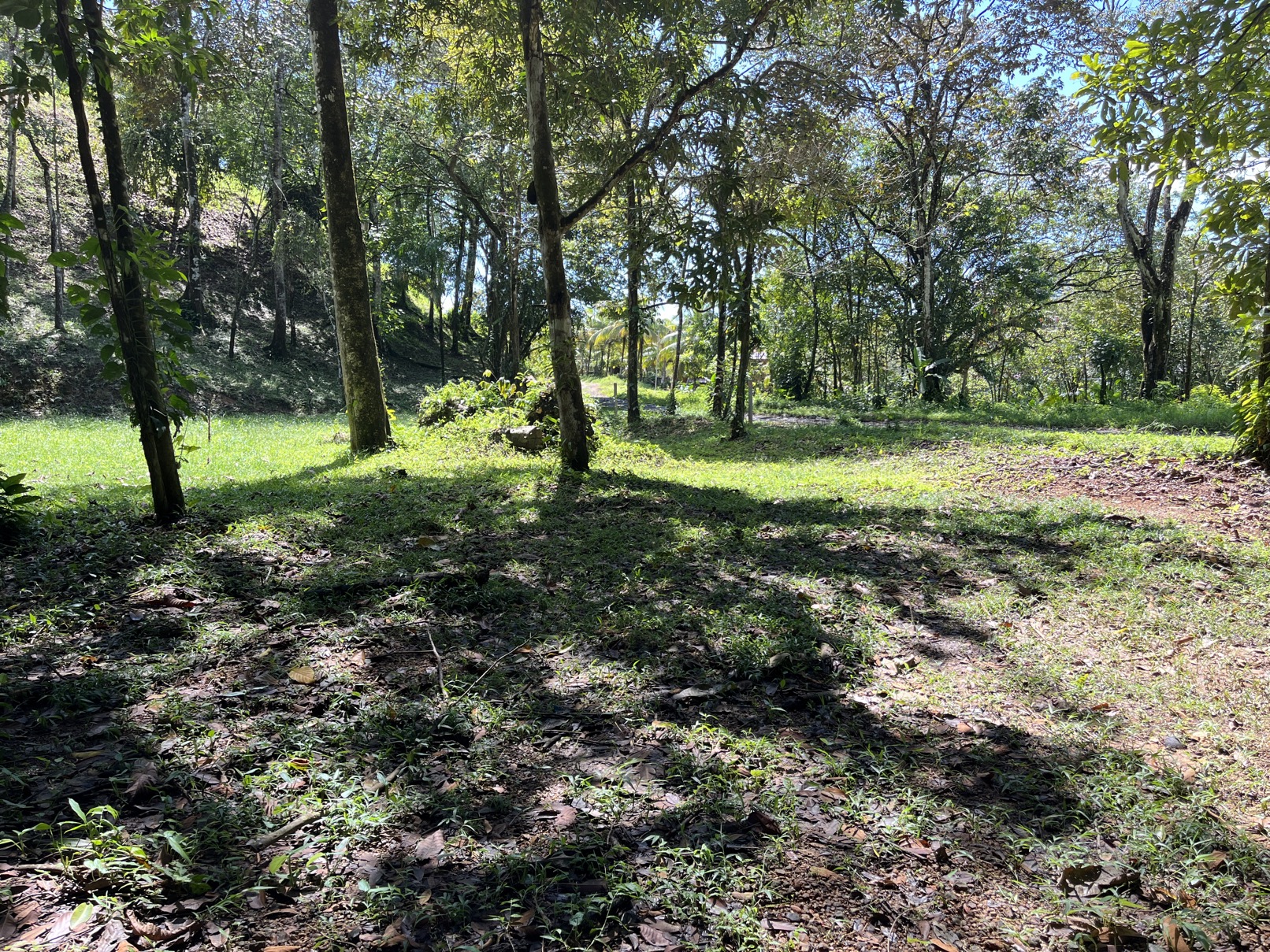 Flat Lot in Tortuga: Your Dream Project Awaits selected
