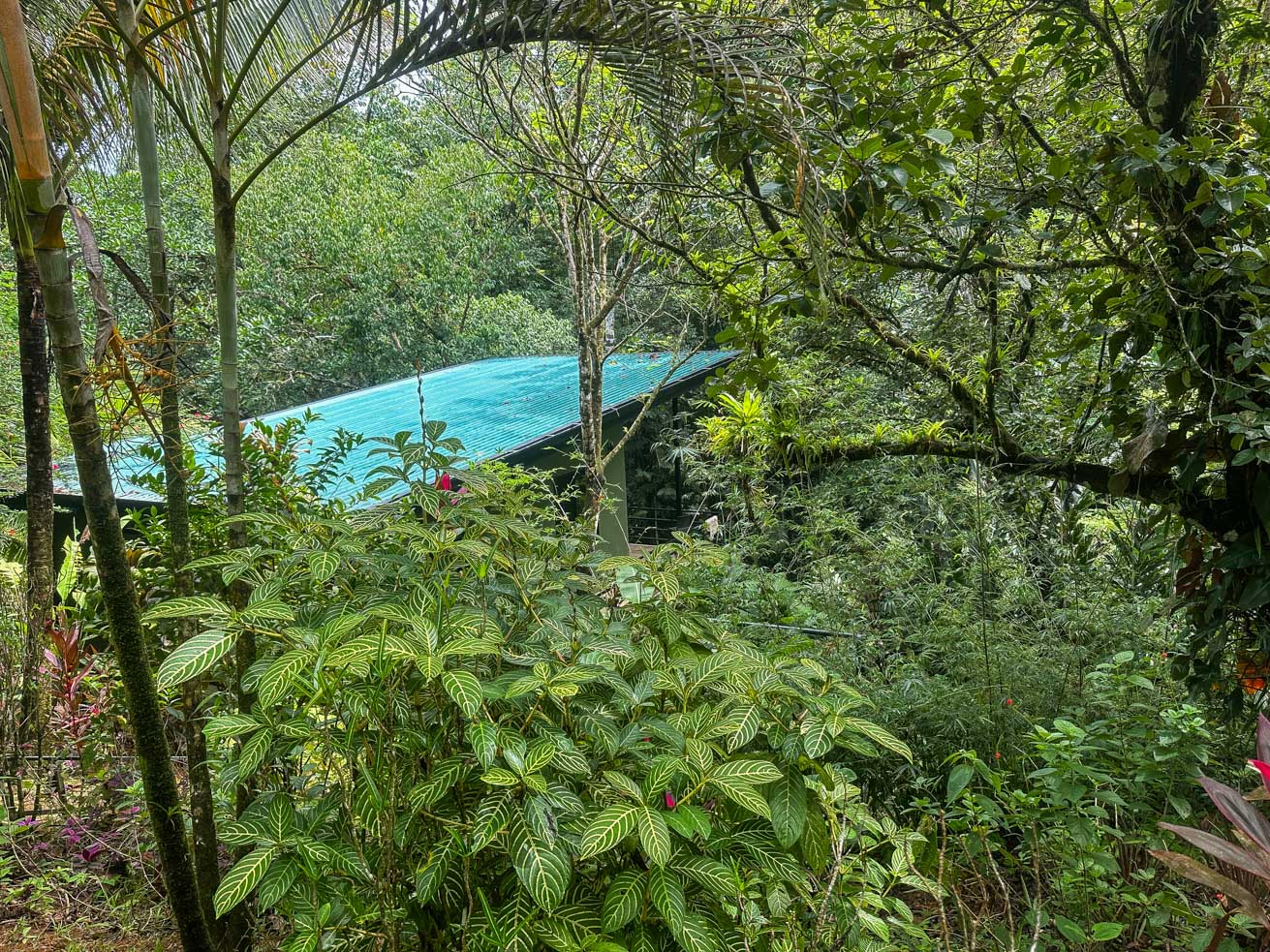 Jungle Sanctuary with Income-Generating Casitas, Creek, Pool & Ultimate Privacy in Ojochal selected