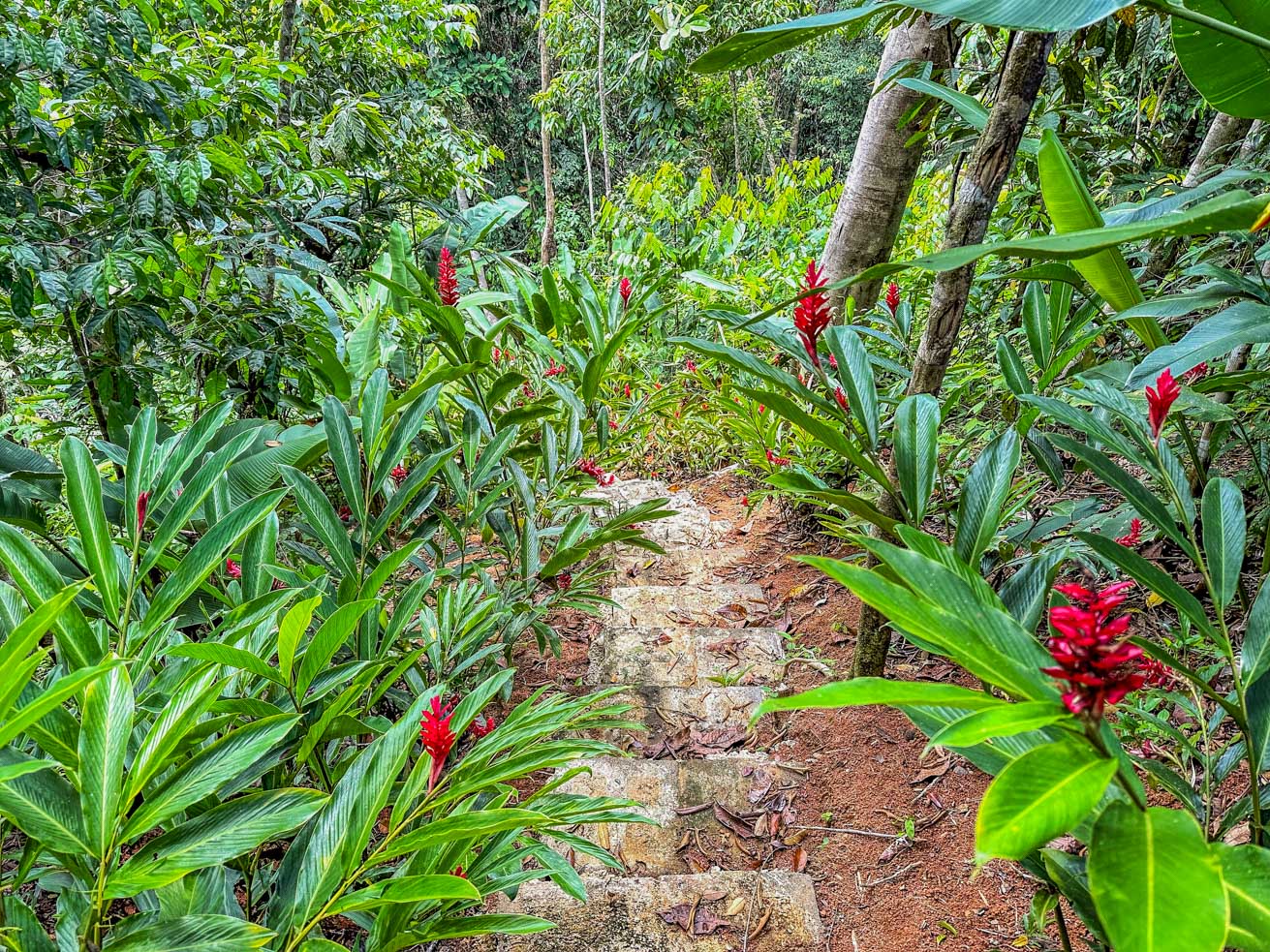 1-Bedroom Jungle River Retreat with Room to Build Your Dream Home in the Heart of Ojochal selected