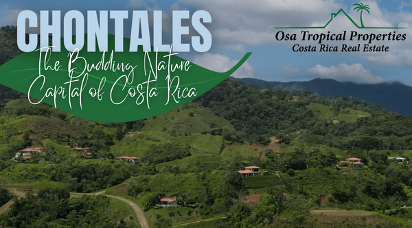 Chontales: The Budding Nature Capital of Costa Rica