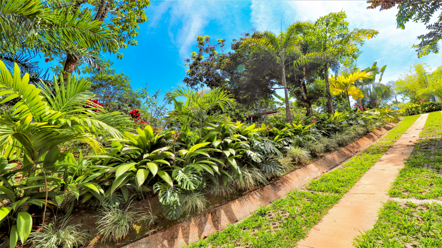 3 Bedroom Home With Ocean View Near Ojochal Tres Rios selected