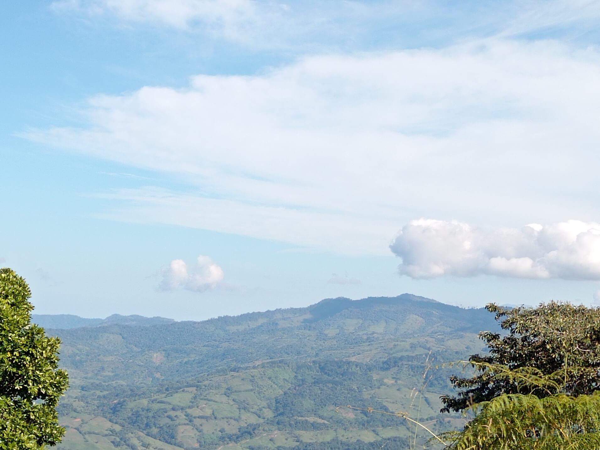 79Acre Farm In Tinamastes, Costa Rica