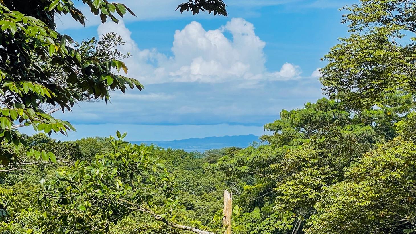 14-Acre Eco-Haven with Ocean View & Riverfront, Minutes from Beaches and National Park selected