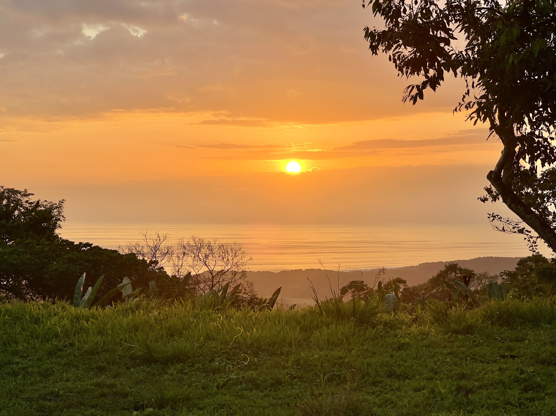 3.57-Acre Ocean View Estate Parcel with Creek & Sunset Exposure Near Dominical selected