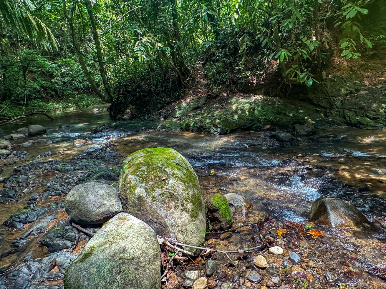 Exceptional 12-Acre Investment Property in Central Ojochal – Riverfront Jungle Estate with Home, Cabin, Workshop & Endless Development Potential selected