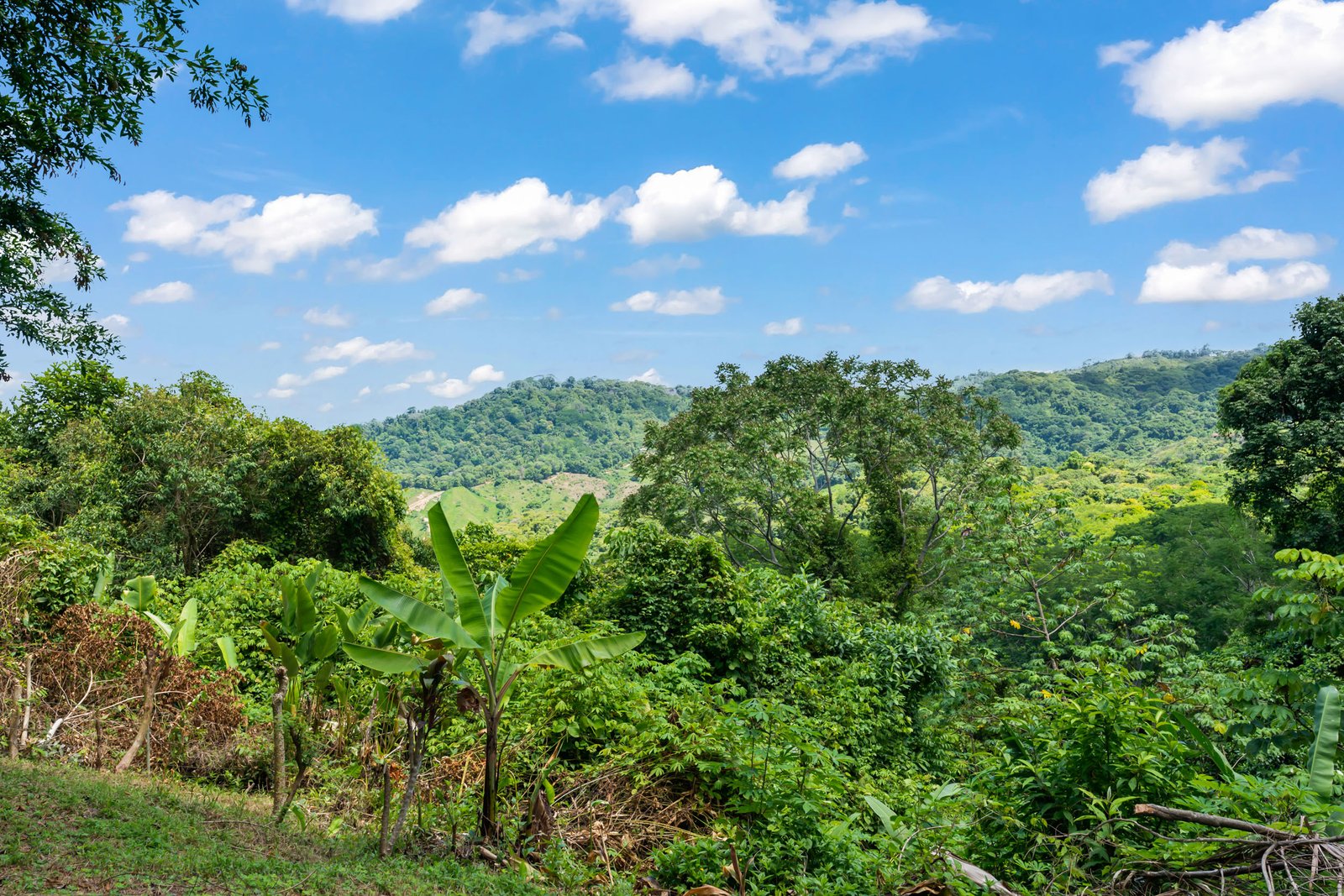 Charming Ocean View Home with Expansion Potential in Lagunas selected