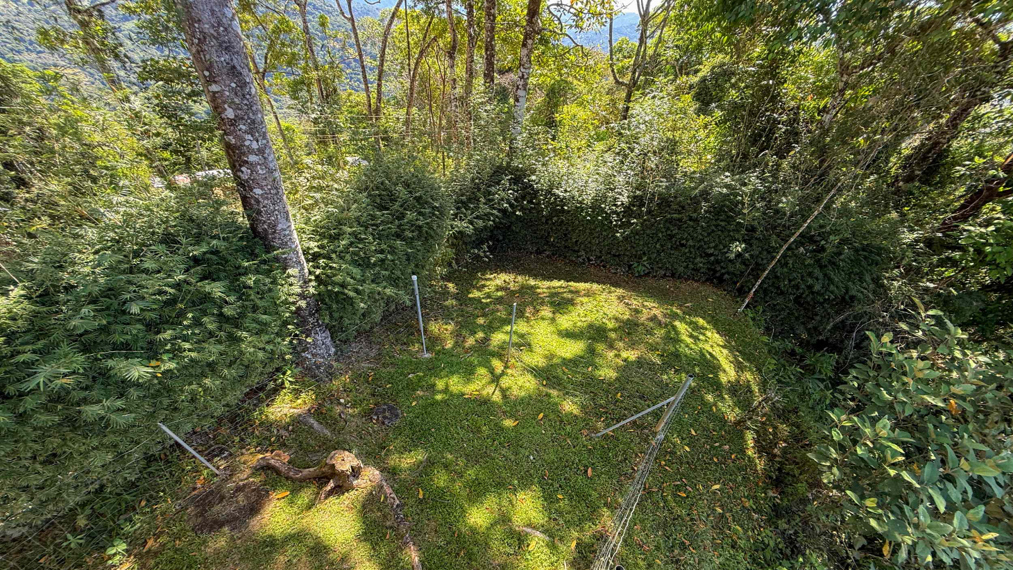 Totally Remodeled Coastal Jungle 2-Bedroom Sanctuary Home with Valley & Ocean Views in Lagunas above Dominical Costa Rica selected