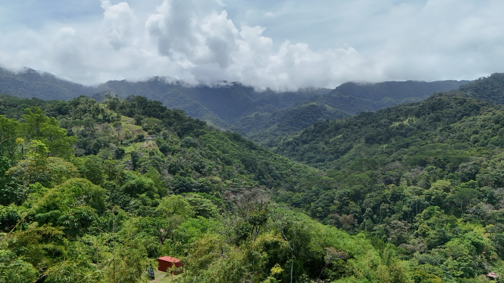 Expansive Oceanview Estate Lot in Uvita selected