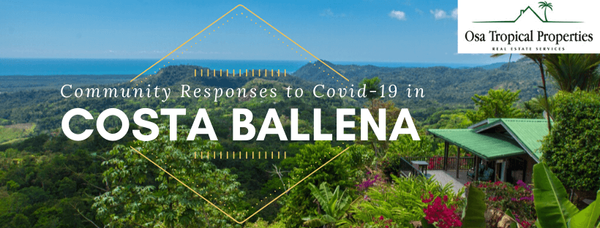 Our Community's Response to Coronavirus Covid-19 in Costa Ballena