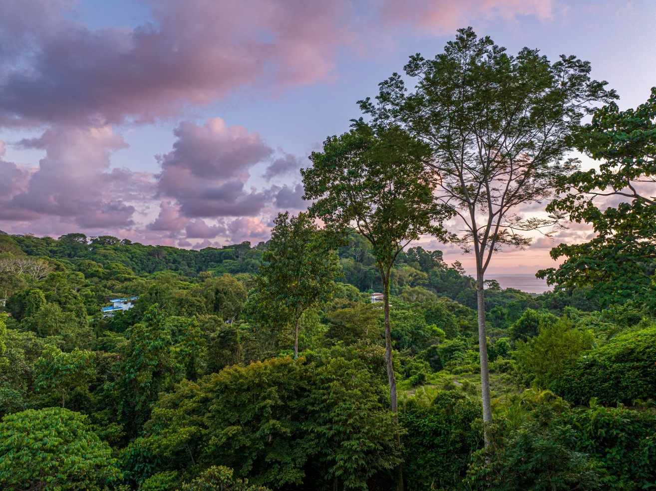 Luxury 4-Bedroom Jungle Estate with Ocean Views in Hatillo selected