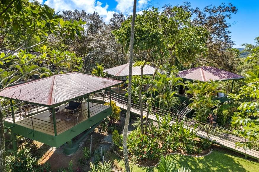 6 Beautiful Tree House Villas and Owners Home on Calle Toucan