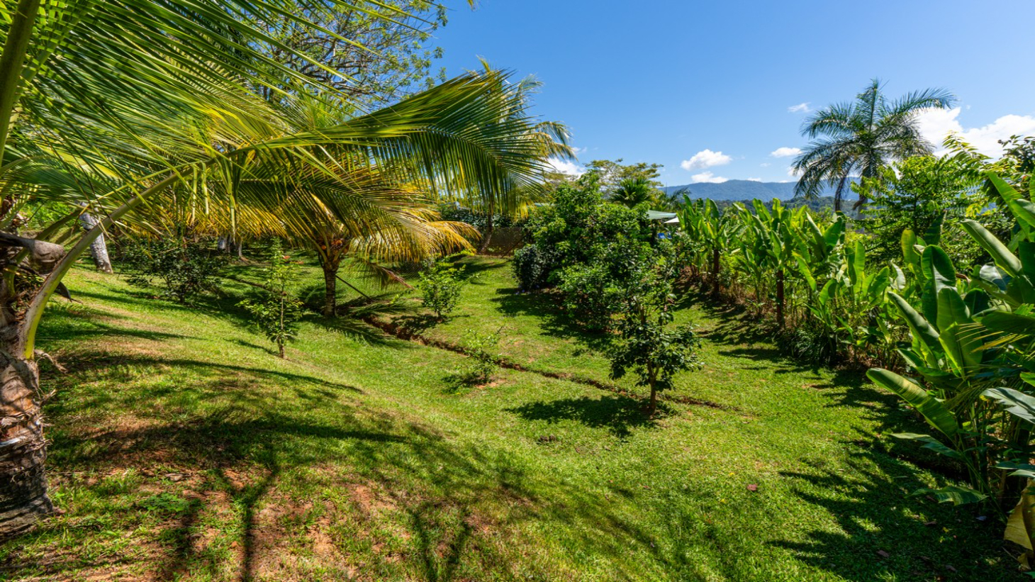 5.67 ACRES – 3 Bedroom Stunning Luxury Home Featuring Sweeping Valley & Ocean Views, Natural Wood Finishes & Sophisticated Design! selected