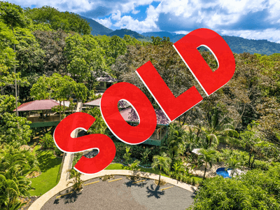 FIRE SALE!! Owners Home And 6 Beautiful Tree House Villas With Room To Expand! image 1