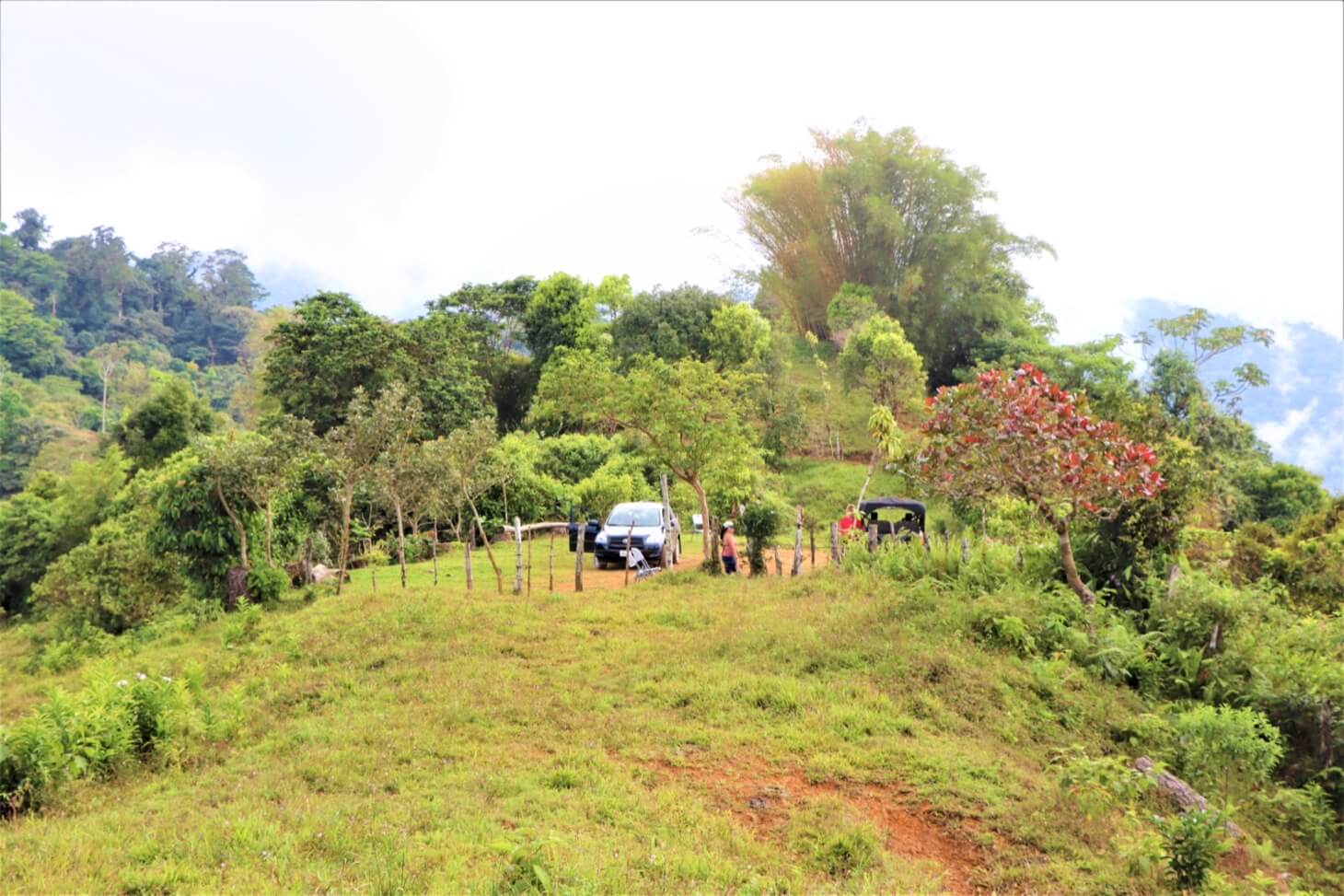 3 Spectacular Ocean View Farms in Uvita selected