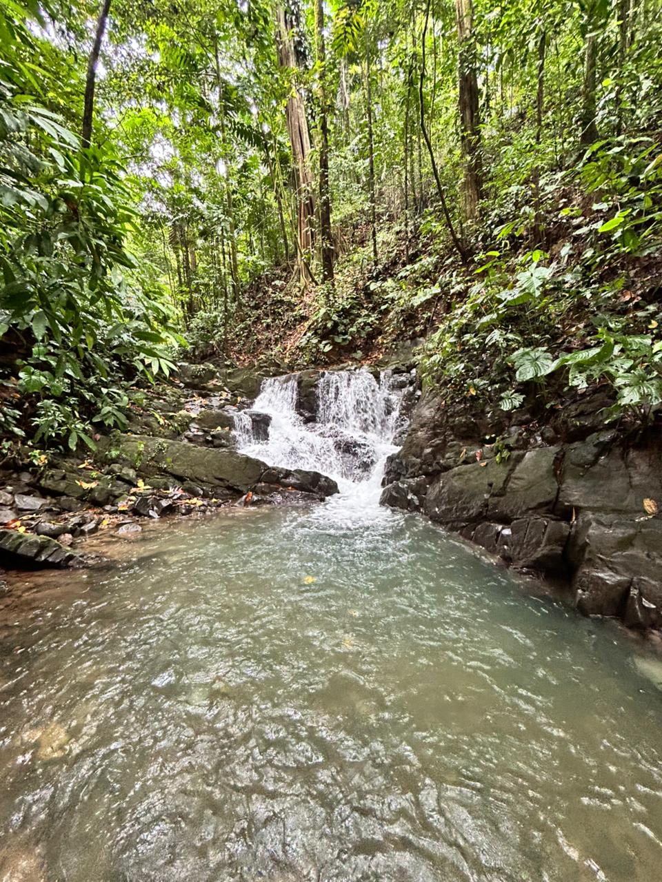 87 Acres of Natural Wonder and Endless Possibility in Ballena, Costa Rica selected