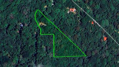 Rainforest Retreat with a Forested Setting and Good Rental History in Lagunas image 4