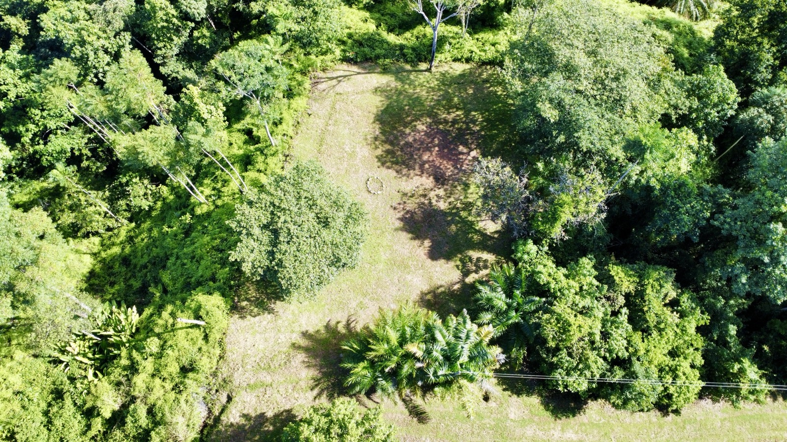 Two Ocean View Properties in Ojochal – 5.33 Acres of Pure Paradise selected