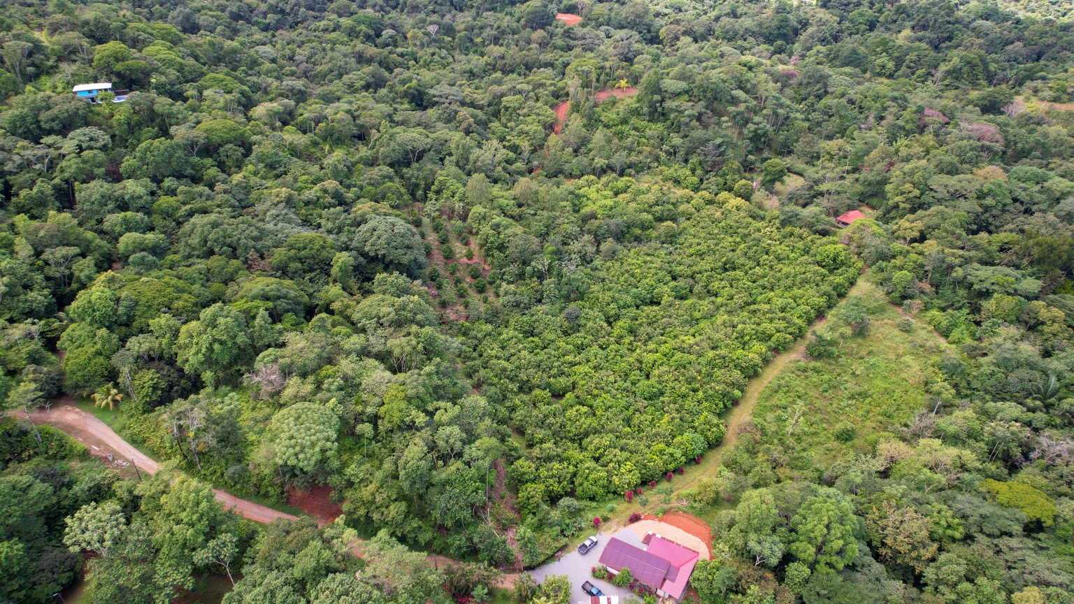 Premium 9.3-Hectare Farm for Sale in Ojochal, Costa Rica selected