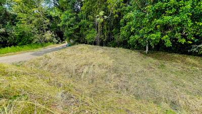 Ready-to-Build Jungle Lot in Ojochal’s Phase 10 Gated Community image 2