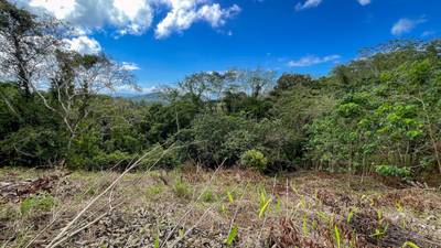 Ocean - Mountain View Lot for Sale in Ojochal, Costa Rica  image 2