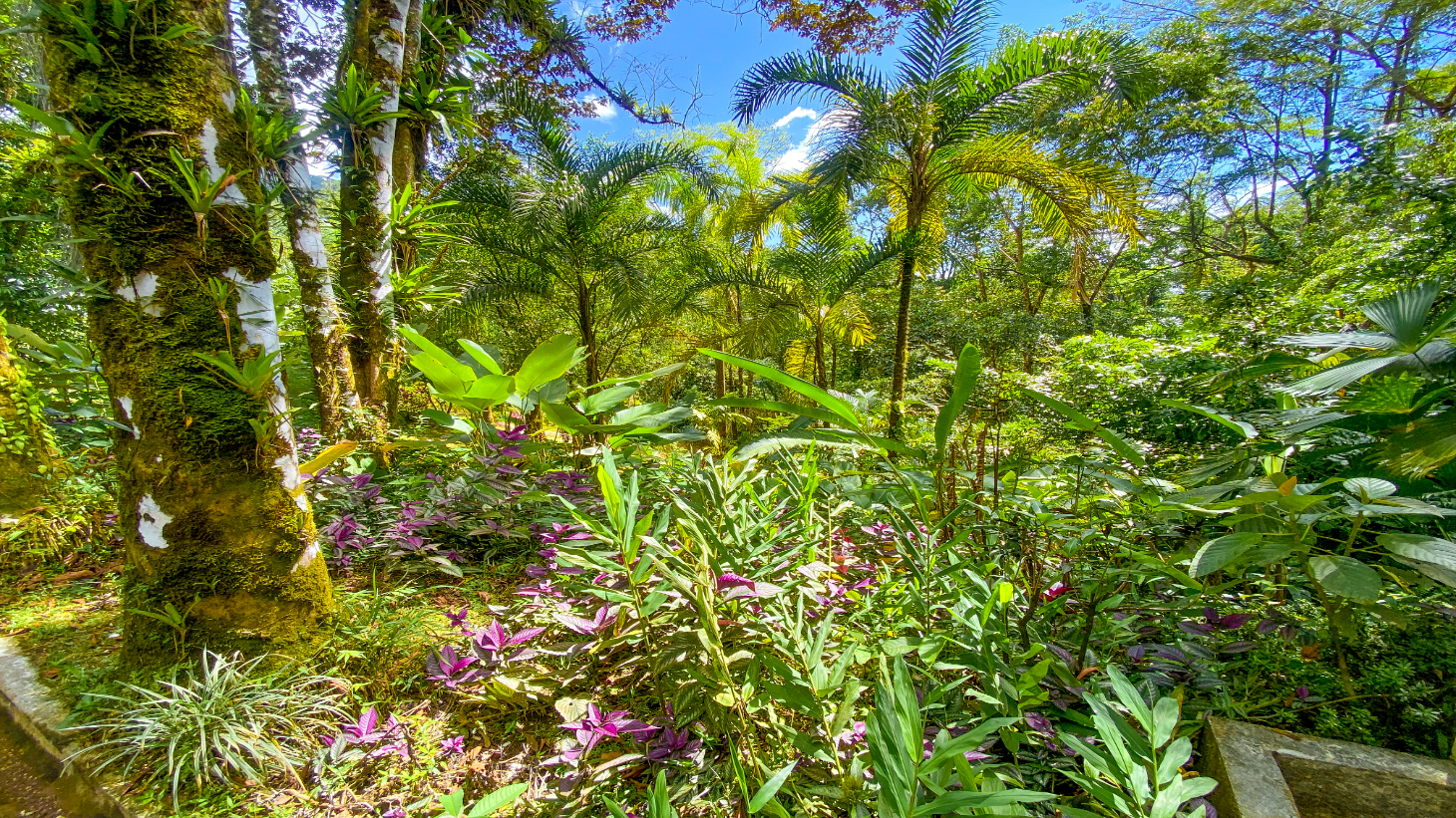 3 Bedroom Rainforest Home in Ojochal With River & Waterfall | 3.5 Acres Private selected